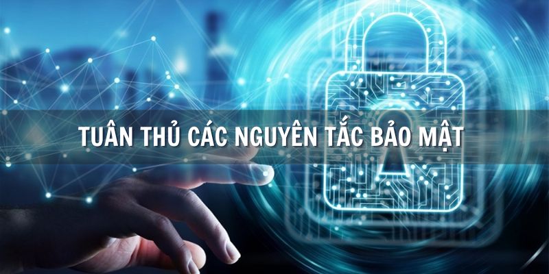 Người chơi tuân thủ quy tắc bảo mật khi tham gia cá cược