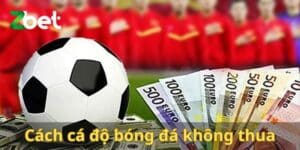 cách cá độ bóng đá không thua